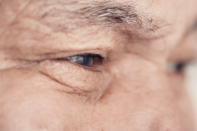 Biografies i converses