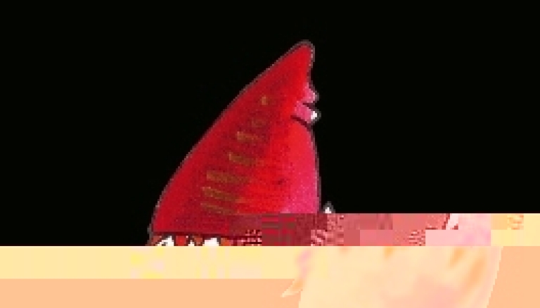 Ajudes per a les Biblioteques Públiques