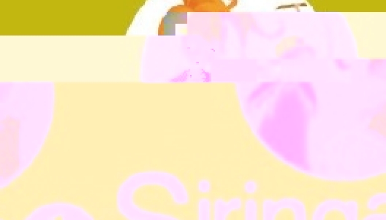 Actualizamos el Siringa 1!