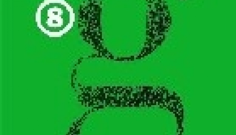 Normativa pura i dura